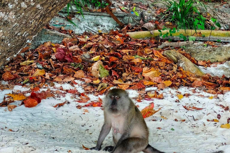 Krabi: Avventura privata in barca a coda lunga su 7 isoleAutista di barca