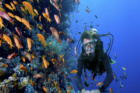 Bayahibe: Catalina Island Scuba Diving Tour with Lunch