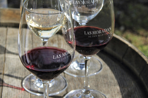 Madrid: Las Moradas de San Martín Winery Tour and Tasting
