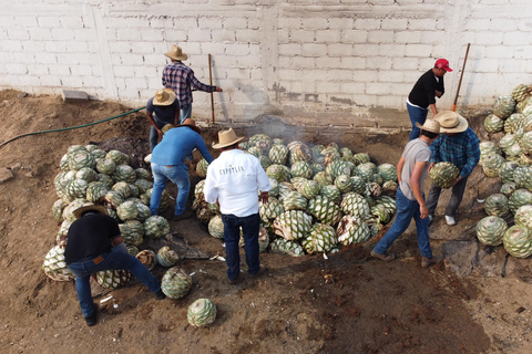Oaxaca: Sustainable Mezcal Tour at an Award-Winning Family Distillery