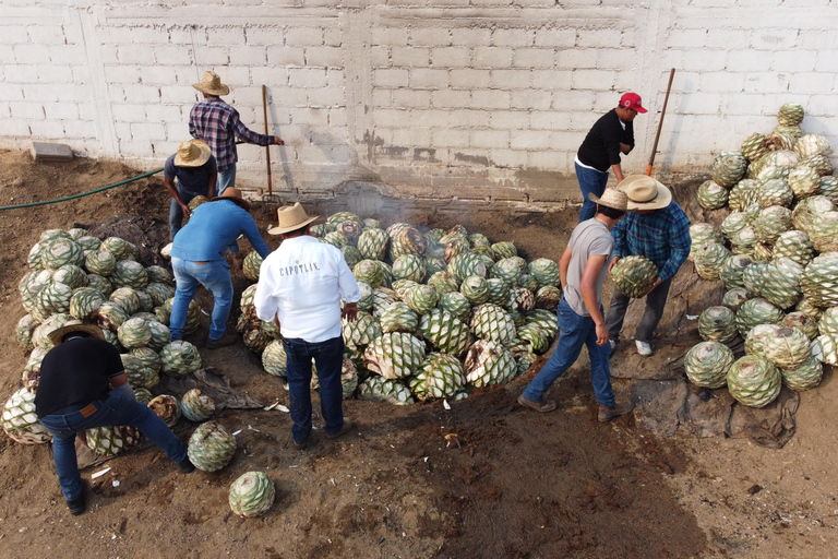 Oaxaca: Sustainable Mezcal Tour at an Award-Winning Family Distillery