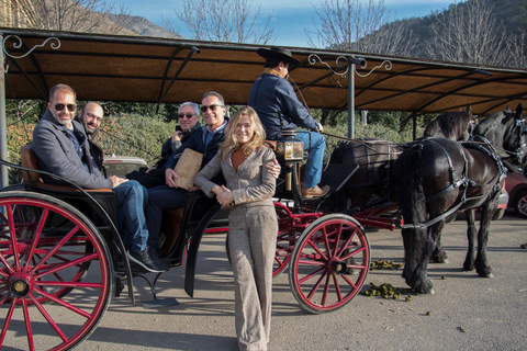 Expérience Haras : escapade dans les vignobles, vin et dégustationsExpérience Icono – 4 dégustations de vin