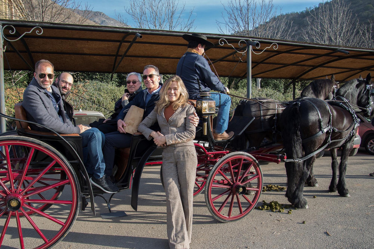 Expérience Haras : escapade dans les vignobles, vin et dégustationsExpérience Icono – 4 dégustations de vin