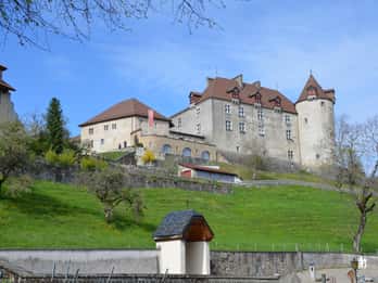Desde Montreux, Berna o Friburgo: TOUR de la región de Gruyères