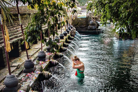 Ubud: Apenbos, Rijstterras, Schommel, Watertempel