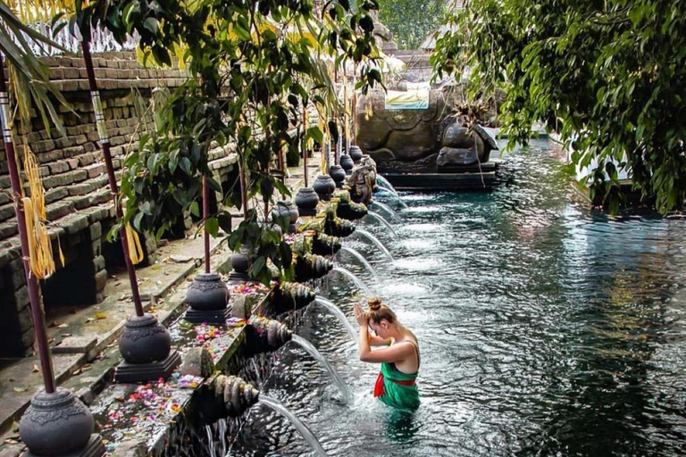 Ubud: Apenbos, Rijstterras, Schommel, Watertempel