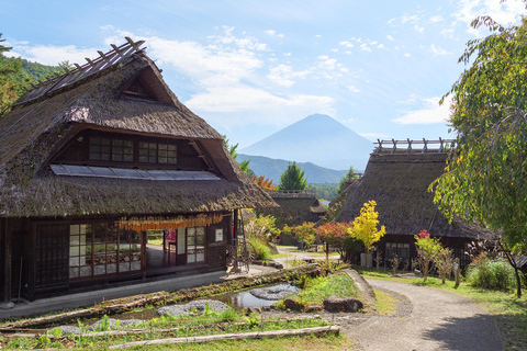 Tokyo: Mt Fuji Customizable Tour with Lakes & Pagoda