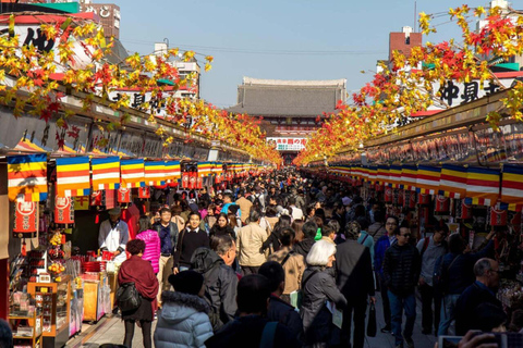 Tokyo: Asakusa Heritage Walk, Skytree & Sumida with Lunch