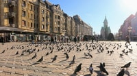 Timișoara, Vicoli della Città Vecchia Self-guided Explorer Walk - Hizvo
