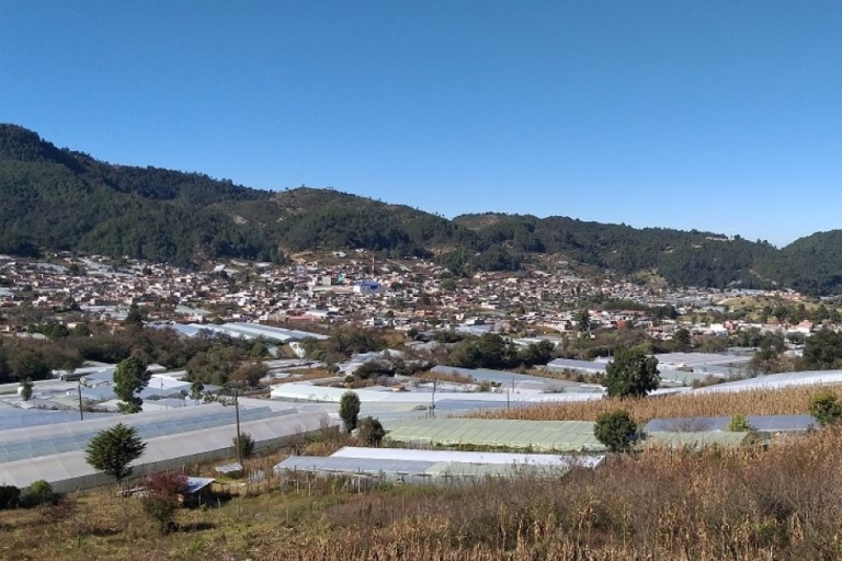 Van San Cristobal: San Juan Chamula en Zinacantán-tour