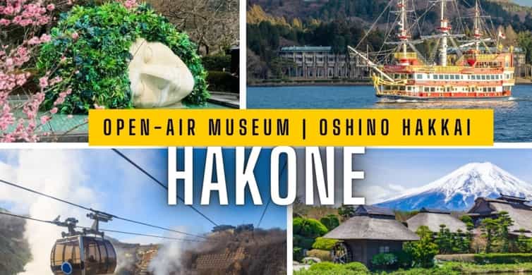 Tokyo: Mt.Fuji, Hakone & Open-Air Musuem or Oshino Hakkai
