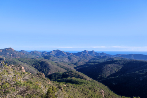 Unforgettable Hike in the Massif de l'Esterel Private Tour in English