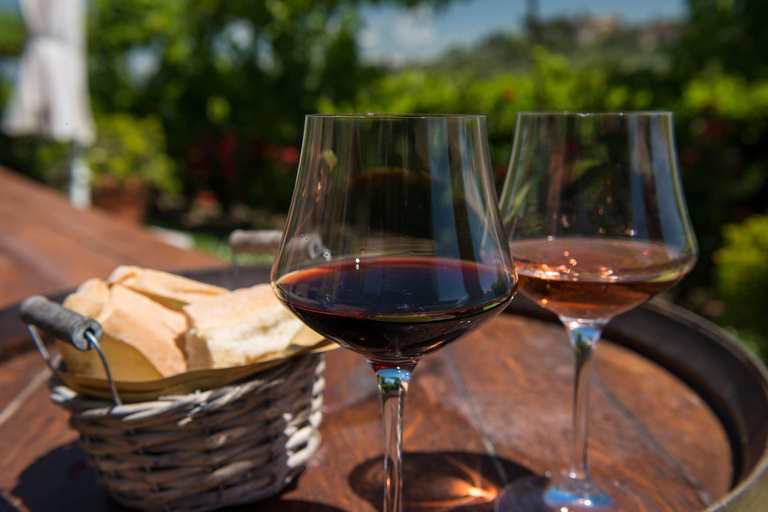 From Siena: Best of Tuscany Wines & Lunch in Montepulciano ENG/SPA/ITA Small Group Tour Option