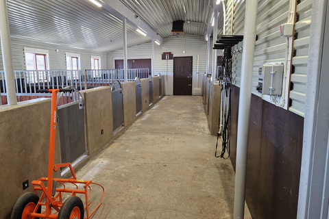 雷克雅达尔尔：家庭与初学者骑马之旅雷克雅达尔尔：家庭及初学者骑马游览