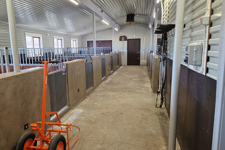 雷克雅达尔尔：家庭与初学者骑马之旅雷克雅达尔尔：家庭及初学者骑马游览