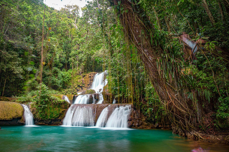 South Coast: YS Falls and Zipline Adventure from Montego Bay