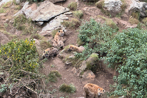 Akaro Village Sunrise & Sunset Wildlife Hike – Entoto