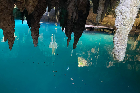 Cenote Route: Horseback Ride, Cenote Swim, Zipline, ATV Tour SHARED ATV + Cenote + Zipline + Horseback Ride + Lunch