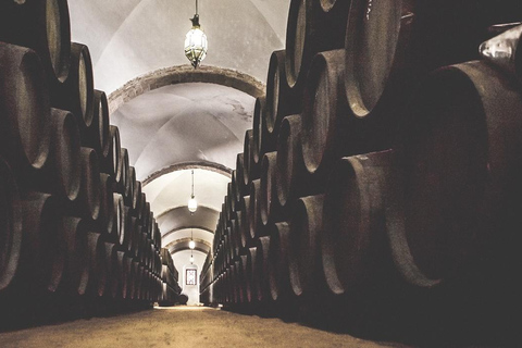 Jerez City Guided Tour and Winery Visit