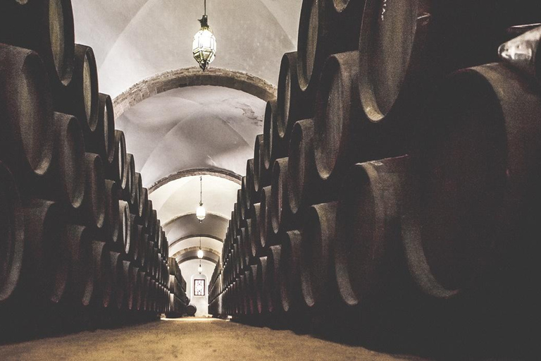 Jerez City Guided Tour and Winery Visit