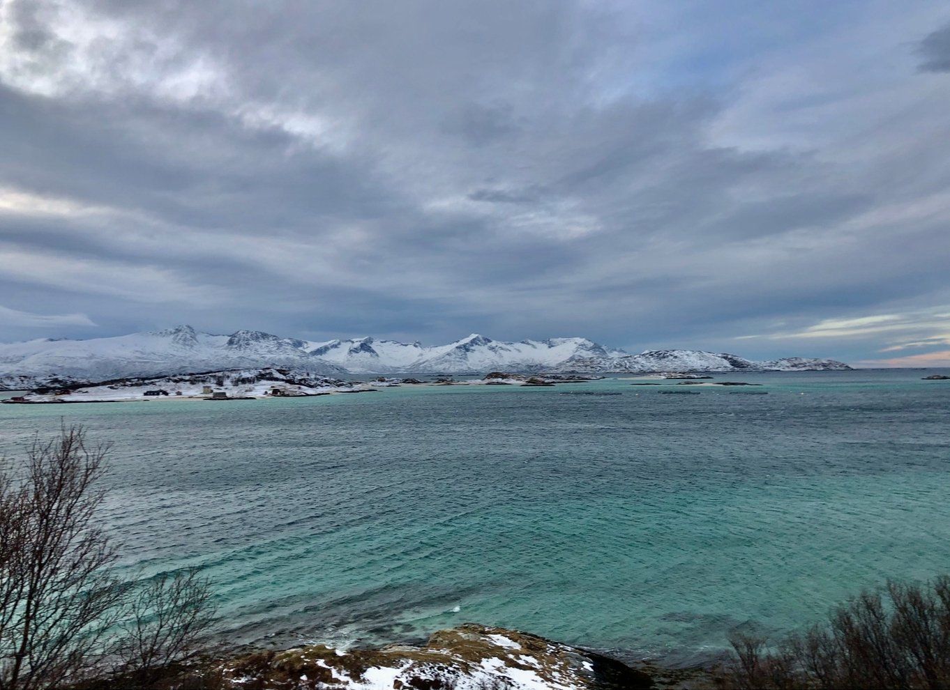 Tromsø: Fjord- og Sommarøy-tur med laksepicnic