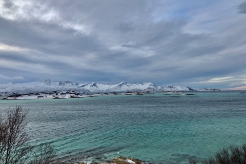 Tromsø. Tour des fjords et des îles, y compris Sommarøy.Îles Sommarøy