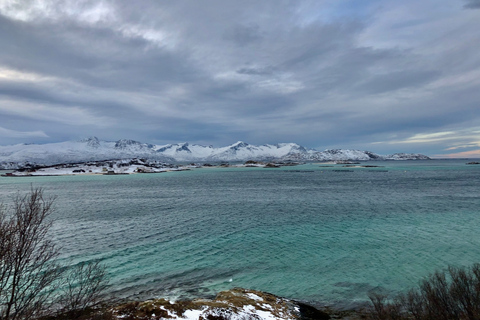 Tromsø. Tocht langs fjorden en eilanden, waaronder Sommarøy.Sommarøy-eilanden