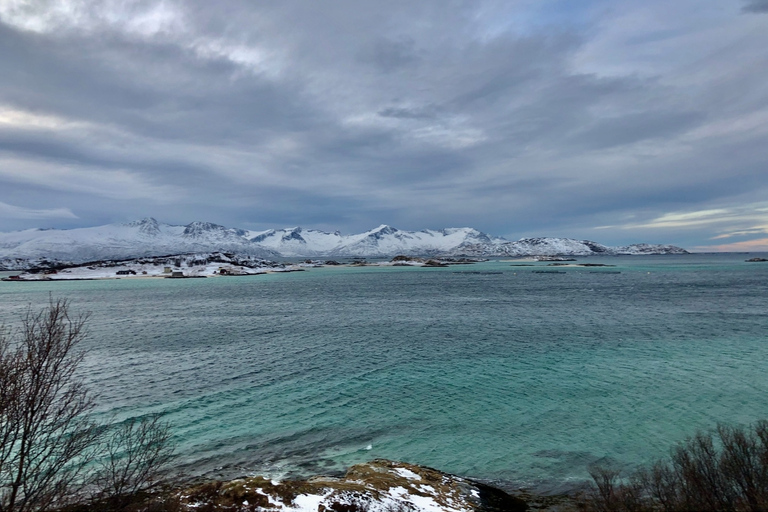 Tromsø. Zwiedzaj fiordy i wyspy, w tym Sommarøy.Wyspy Sommarøy