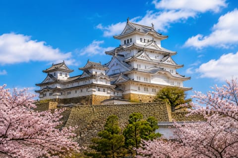 Osaka/Kyoto: Kobe & Himeji Private Tour with English Driver - Image 2