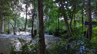 Trek Full Day to Kuang SI Wasfalls, village isolé - Housity