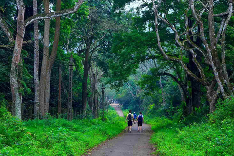 Hanoi: Van Long Wetland, Bear Sanctuary, Cuc Phuong Tour