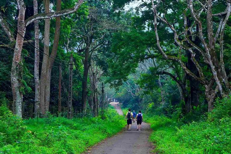 Hanoi: Van Long Wetland, Bear Sanctuary, Cuc Phuong Tour