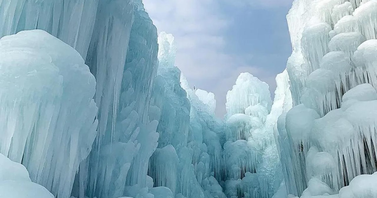 From Seoul Cheongyang Alps & Strawberry Picking Day Tour GetYourGuide