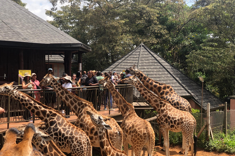 Nairobi Park, olifantenopvangcentrum en giraffencentrum tourZonder toegangsbewijs