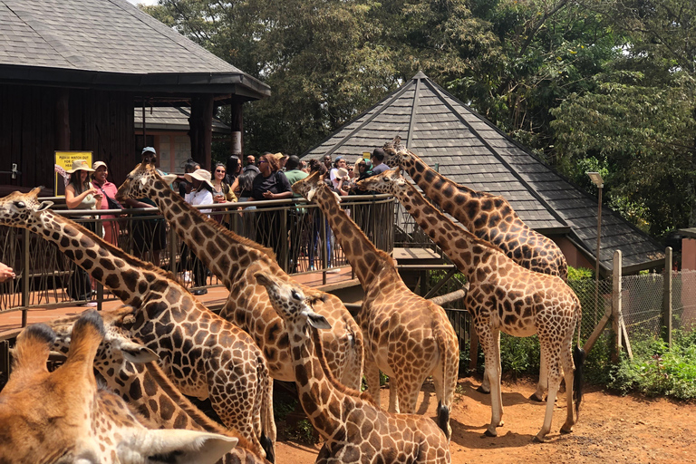 Nairobi Park, olifantenopvangcentrum en giraffencentrum tourZonder toegangsbewijs