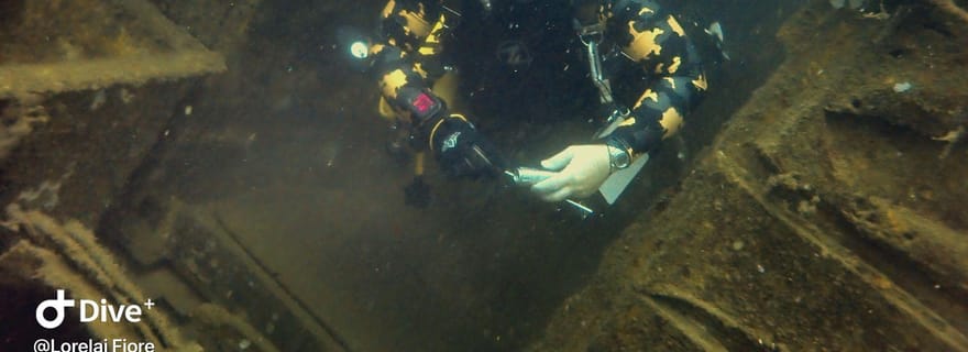Golfito, Costa Rica : incroyables excursions d'une journée pour plonger sur des épaves et/ou des récifs