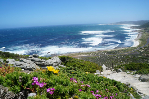 From Durban: 7-Day Wild Coast & Garden Route to Cape Town