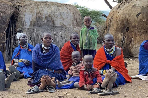 EXCURSION D&#039;UNE JOURNÉE DANS UN VILLAGE MASAI