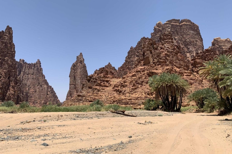 Von AlUla aus: Wadi Dissah Canyon Tour mit Mittagessen und Transfer