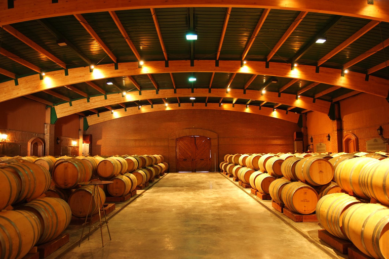 Private Casablanca Wine Valley: 2 Boutique Wineries & Lunch