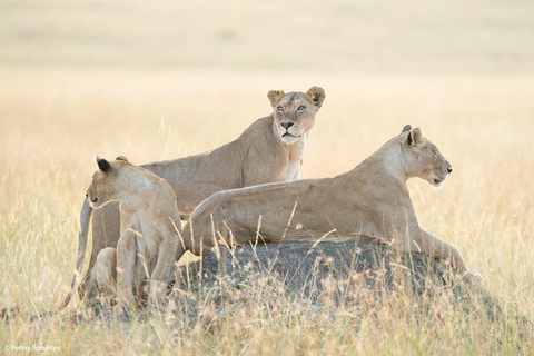 8-Day Safari Amboseli, Masai Mara, Lake Nakuru & Mombasa