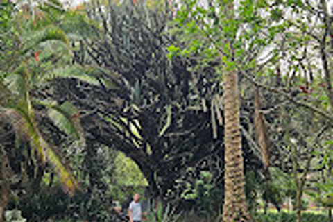 Nairobi: Guided Giraffes Centre & Karen Blixen Museum Tour. Nairobi: Karen Blixen Museum Guided Tour .