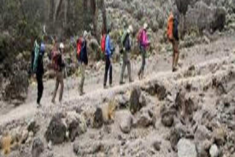 Kilimanjaro: 6-Day Trekking Umbwe Route