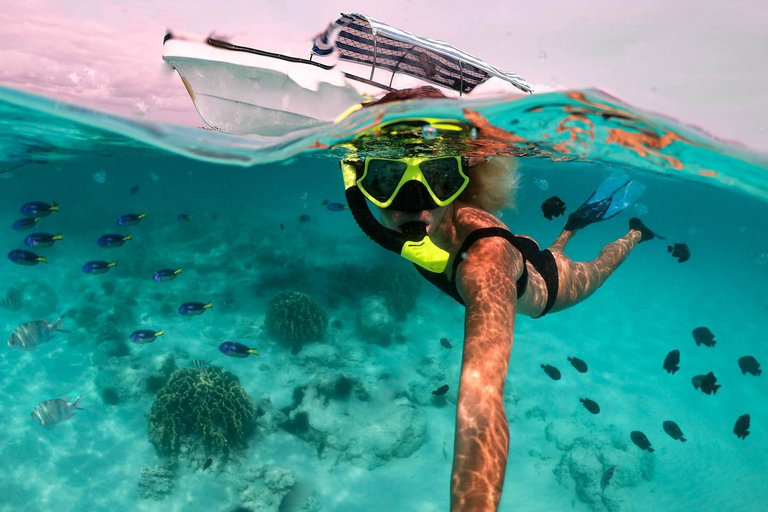 Zanzíbar: Excursión a Mnemba para hacer snorkel y nadar con tortugas