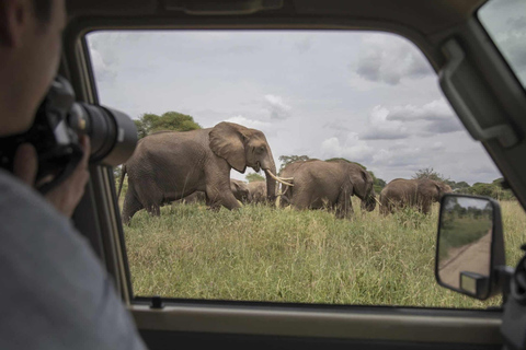 Safári de 4 dias em grupo para Masai Mara e Lago Nakuru