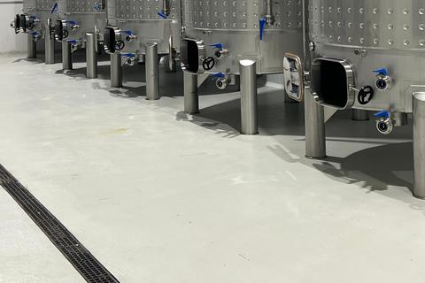 Visit Bodega Boutique Díscolo at 49154 El Pego - Zamora - Spain