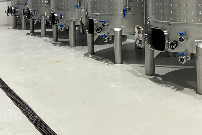 Visit Bodega Boutique Díscolo at 49154 El Pego - Zamora - Spain