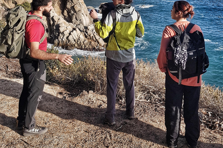 Costa Brava: Strände entdecken, wandern und schwimmenCosta Brava: Strandtour mit Wandern und Schwimmen