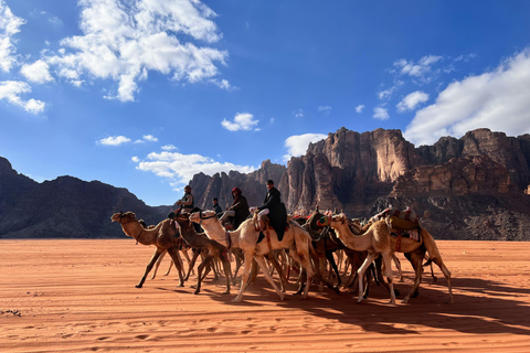 Wadi Rum, Jordan: 4x4 Desert Tour with Bedouin Cooking Class