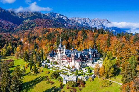 From Bucharest: Dracula Castle, Peles and Brașov Day Trip